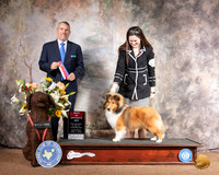 Shetland Sheepdog #5 Sat BOS Judge Dana Cline