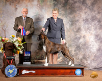 Boxer #14 Sat BOW BOS Maj Judge Houston Clark