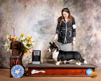 Cardigan Welsh Corgi Sat #5 Sat BOS Maj