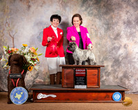 Cairn Terrier #6 Judge Barbara Dempsey Alderman