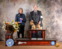 Norwich Terrier #8 Sat BOS OHBOB Judge Anne Bolus