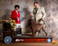 Portuguese Water Dog #12 Sat BOS Maj NCh Judge Barbara Dempsey Alderman