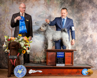 Pumi #5 Sat G1 Judge Allen Odom