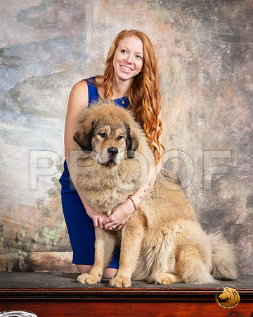 Tibetan Mastiff Carol Custom__SR_9245_TXRKNA2020-HR3