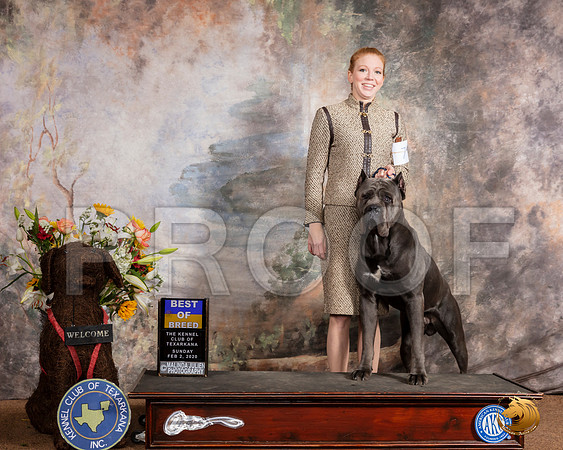 Cane Corso #7 Sun BOB Judge__SR_9295_TXRKNA2020-HR3
