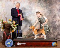 Beagle 15 #9 Sun BOB Maj Judge David Bolus