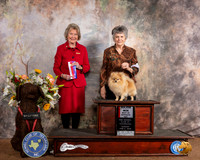 Pomeranian #8 Sun BOS Maj Judge Anne Bolus
