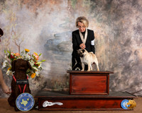 Pug #5 Sat OHBIS RESHOOT 2