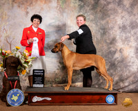 Rhodesian Ridgeback #12 Sun G4 Judge Barbara Dempsey Alderman