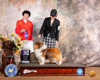 Shetland Sheepdog #? WD NCh Judge Barbara Dempsey Alderman