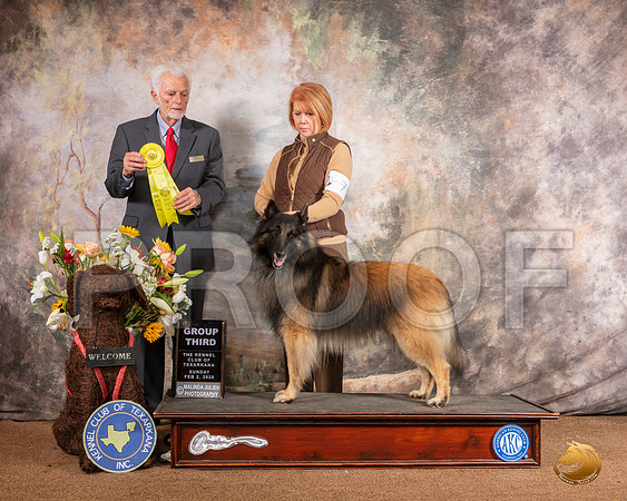 Belgian Tervuren #7 Sun G3 Judge Houston Clark__SR_9617_TXRKNA2020-HR3