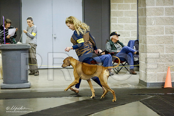 _RH_1406-BeltonJan2015IABCA-HR3