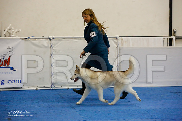_M3_0573-AddisonHuskyMar2015-HR3