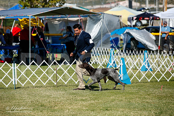 _JJ_1414-AlamogordoOct2014-HR3