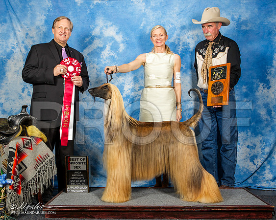 _ST_4566-AfgBeltonOct2014-HR3