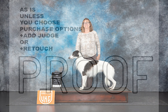 Silken Windhound #160 Sun BOW Judge Sandra Phillips__JP_1404_UKCLNGVIEWOCT2024_2024_HR3