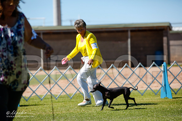 _JJ_8560-AlamogordoOct2014-HR3
