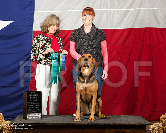 _ST_1724-AmarilloSep2014-HR3