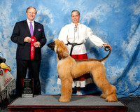 #65 Tues 9-12 2nd Patricia Dahlman Judge David Frei +OL