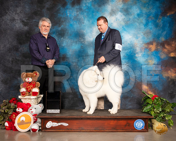 Samoyed #8 Light Test__SR_9708_Midland2020-HR3