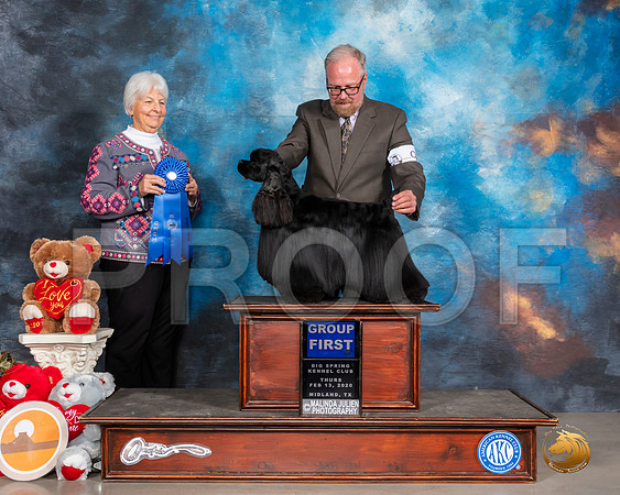 Cocker Spaniel Black #9 Thurs Judge Gloria Kerr__SR_9768_Midland2020-HR3
