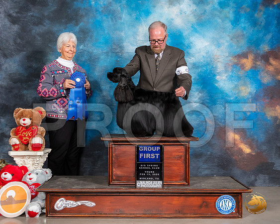 Cocker Spaniel Black #9 Thurs Judge Gloria Kerr__SR_9769_Midland2020-HR3