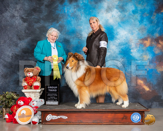 Collie Rough #5 Thurs G3 Judge Gloria Geringer__SR_9820_Midland2020-HR3