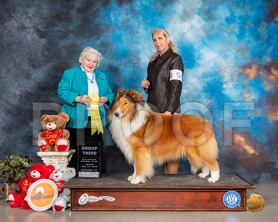 Collie Rough #5 Thurs G3 Judge Gloria Geringer__SR_9821_Midland2020-HR3