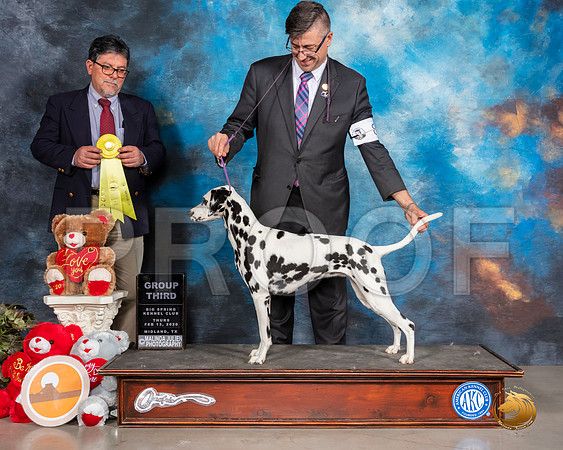 Dalmatian #8 Thurs G3 Judge ELIZARDO VALADEZ__SR_9811_Midland2020-HR3