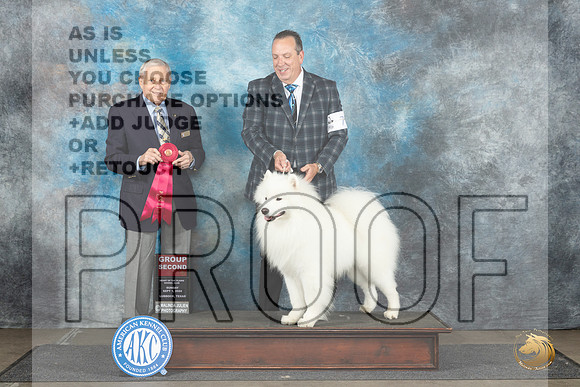 Samoyed #7 Sun G2 Judge David Bolus__JP_3981_Lubbock_2024_HR3