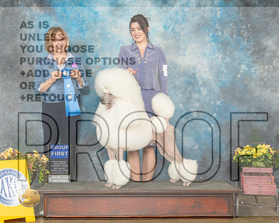 Poodle Std #9 Sat G1 Judge Grace Fritz-MMJ_0846-NWARK2022-HR3