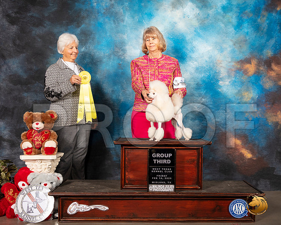 Poodle Toy #21 Fri G3 Judge Gloria Kerr__SR_9956_Midland2020-HR3