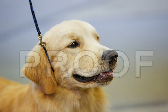 _JJ_7079-AmarilloSept2014-HR3