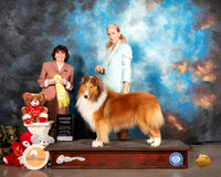 Collie Rought #5 Sat G3 Judge Wendy WILLHAUCK