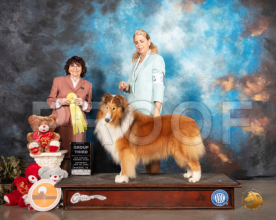 Collie Rought #5 Sat G3 Judge Wendy WILLHAUCK__SR_0202_Midland2020-HR3