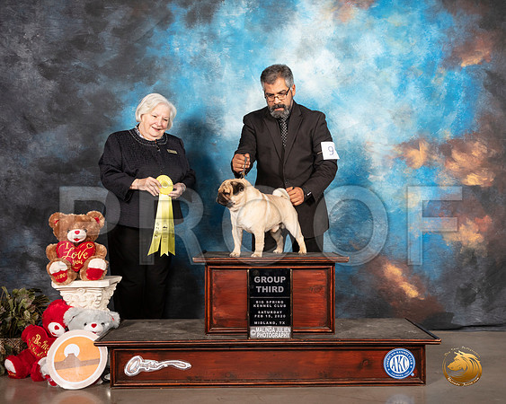 Pug #9 Sat G3 Judge Gloria Geringer__SR_0222_Midland2020-HR3