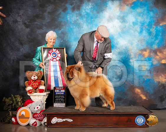 Chow #5 Sat BIS Judge Gloria Kerr__SR_0341_Midland2020-HR3