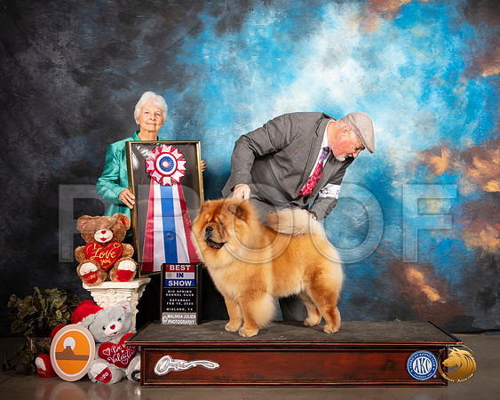 Chow #5 Sat BIS Judge Gloria Kerr__SR_0342_Midland2020-HR3