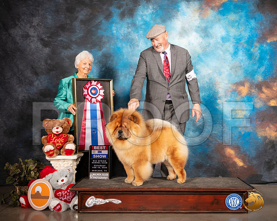 Chow #5 Sat BIS Judge Gloria Kerr__SR_0344_Midland2020-HR3