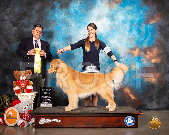 Golden Retriever #7 Sat G3 Judge ELIZARDO VALADEZ __SR_0289_Midland2020-HR3