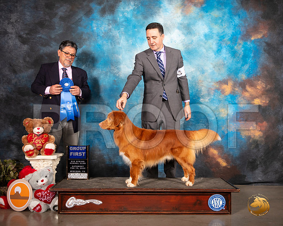 Nova Scotia Duck Tolling Retriever #5 Sat G1 Judge ELIZARDO VALADEZ __SR_0281_Midland2020-HR3