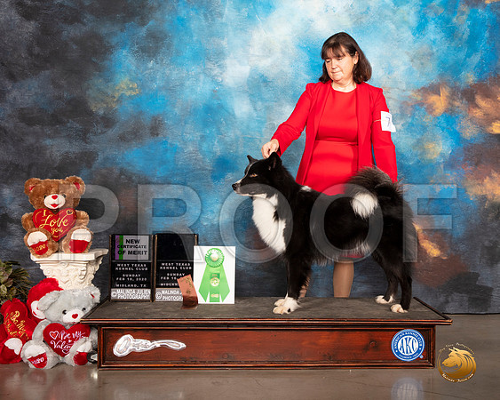 Yakutian Laika #7 Sun CMerit__SR_0373_Midland2020-HR3