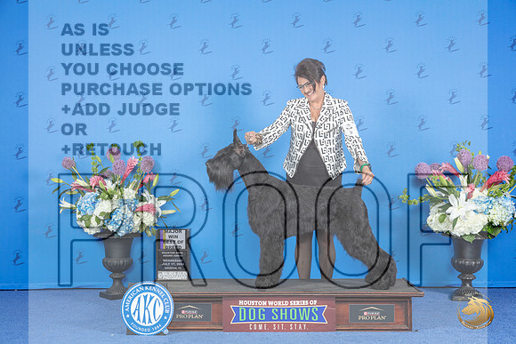 Schnauzer Giant # FRI BOB M Judge Douglas Johnson__JP_9620_Houston_2024_HR3