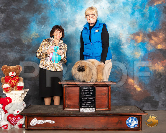Pekingese #5 Sun OHBIS Judge Wendy WILLHAUCK__SR_0658_Midland2020-HR3
