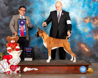 Boxer #10 Sun RBIS Judge ELIZARDO VALADEZ