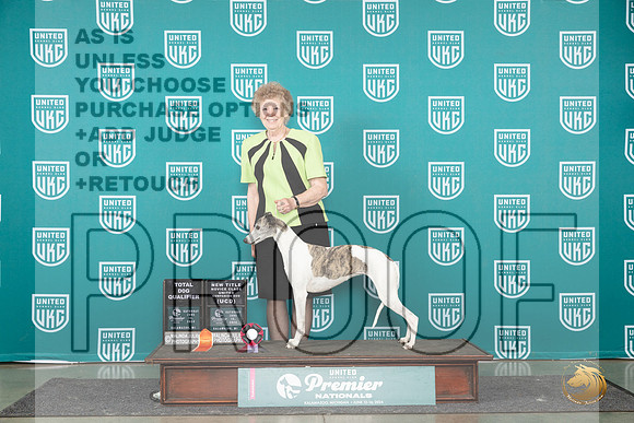 Whippet #867 Sat TDUCD__JP_2716_Premier_2024_HR3