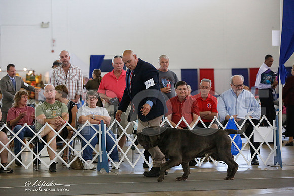 _JJ_1908-DallasJul2014-HR3
