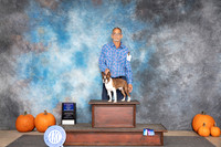 Boston Terrier #15 Sat WDBOW Judge Danelle Brown