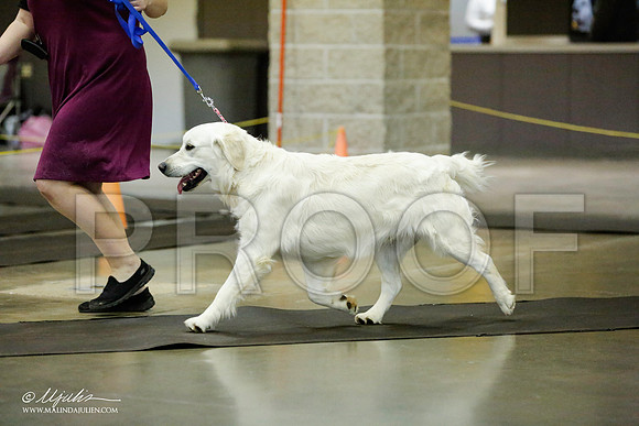 _RH_1048-BeltonJan2015IABCA-HR3