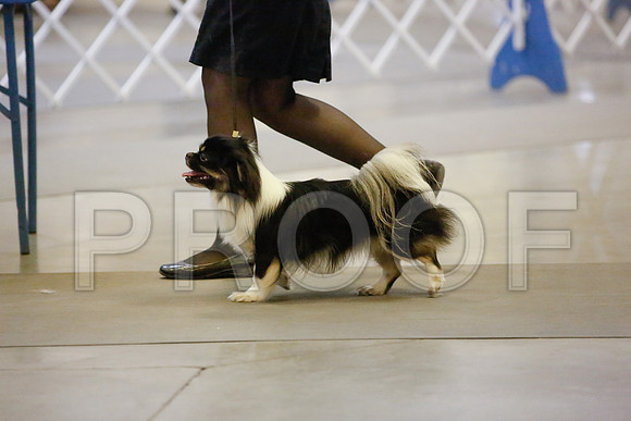 _JN_0069-AmarilloSept2014-HR3